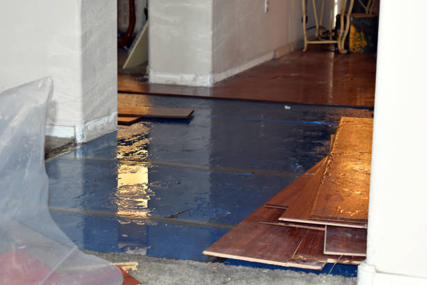 Professional Burst Pipe Cleanup technician working in Lebec, CA